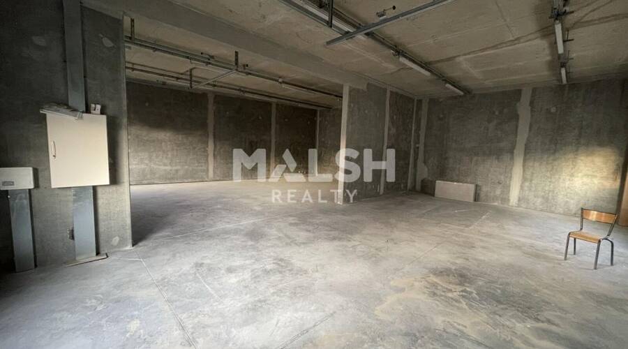 MALSH Realty & Property - Local d'activités - Carré de Soie / Grand Clément / Bel Air - Villeurbanne - 6