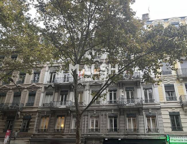 MALSH Realty & Property - Bureau - Lyon 3° / Préfecture / Universités - Lyon 3 - 1
