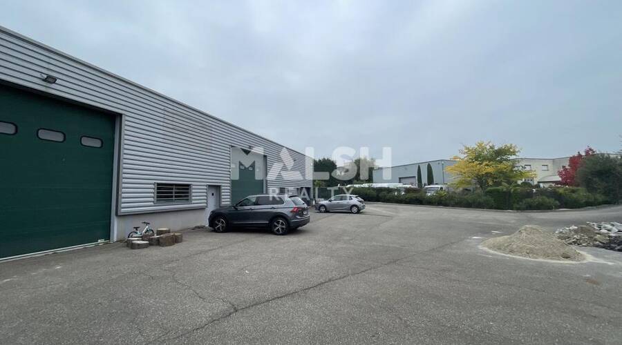 MALSH Realty & Property - Local d'activités - Lyon Sud Ouest - Taluyers - 9