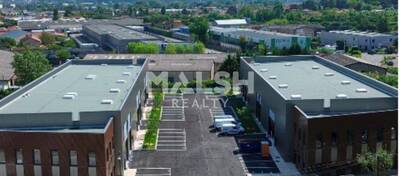 MALSH Realty & Property - Local d'activités - Lyon Sud Ouest - Saint-Genis-Laval - 14