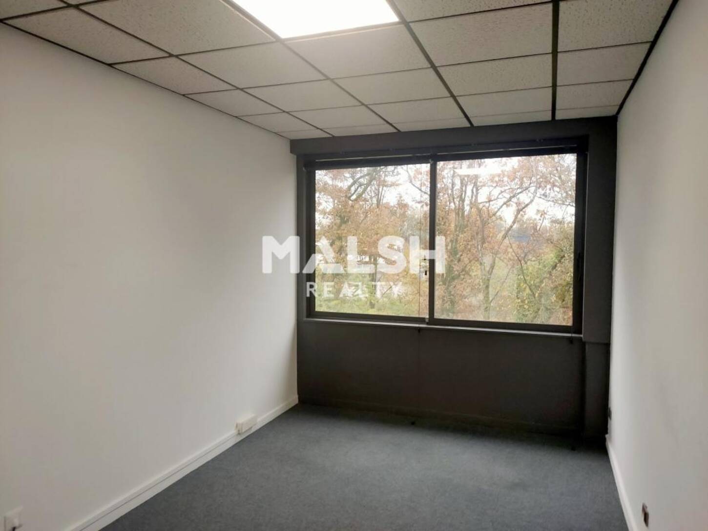 MALSH Realty & Property - Bureau - Lyon Nord Ouest (Techlid / Monts d'Or) - Dardilly - 2