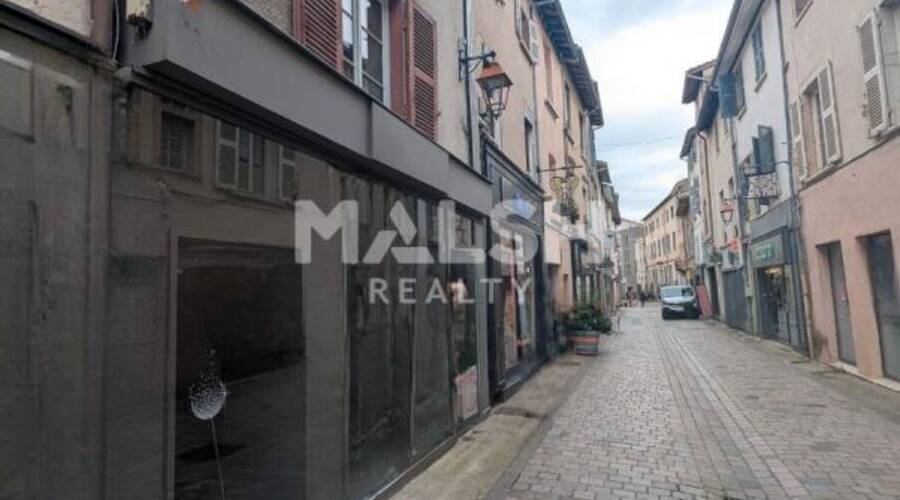 MALSH Realty & Property - Local commercial - Plateau Nord / Val de Saône - Neuville-sur-Saône - 6