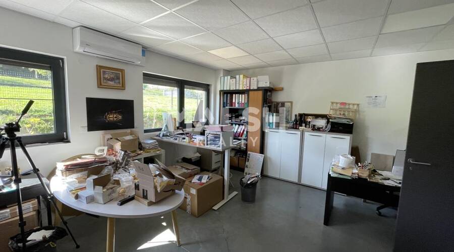 MALSH Realty & Property - Local d'activités - Extérieurs SUD (Vallée du Rhône) - Chasselay - 5