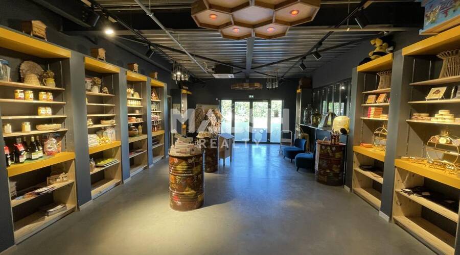 MALSH Realty & Property - Local d'activités - Extérieurs SUD  (Vallée du Rhône) - Chasselay - 2