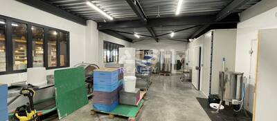 MALSH Realty & Property - Local d'activités - Extérieurs SUD  (Vallée du Rhône) - Chasselay - 10