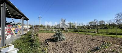 MALSH Realty & Property - Local d'activités - Extérieurs SUD  (Vallée du Rhône) - Chasselay - 16