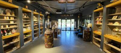 MALSH Realty & Property - Local d'activités - Extérieurs SUD  (Vallée du Rhône) - Chasselay - 3