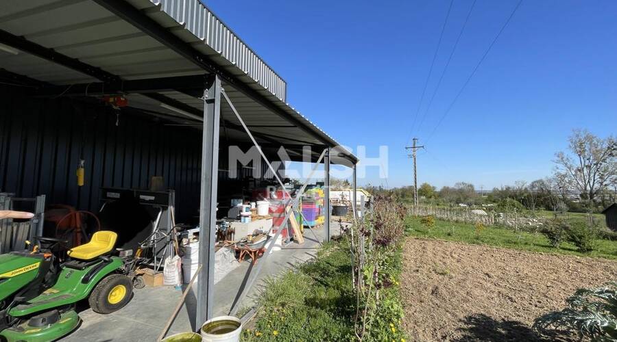 MALSH Realty & Property - Local d'activités - Extérieurs SUD  (Vallée du Rhône) - Chasselay - 15