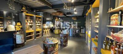 MALSH Realty & Property - Local d'activités - Extérieurs SUD (Vallée du Rhône) - Chasselay - 4