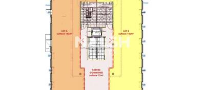 MALSH Realty & Property - Bureau - Plateau Nord / Val de Saône - Caluire-et-Cuire - 22