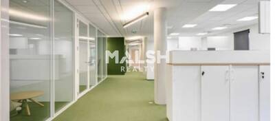 MALSH Realty & Property - Bureau - Plateau Nord / Val de Saône - Caluire-et-Cuire - 12
