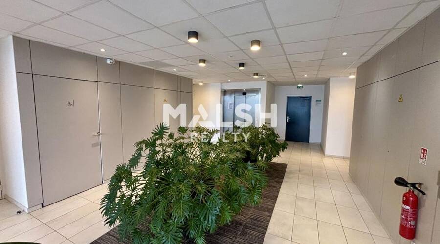 MALSH Realty & Property - Bureau - Lyon 7° / Gerland - Lyon 7 - 2