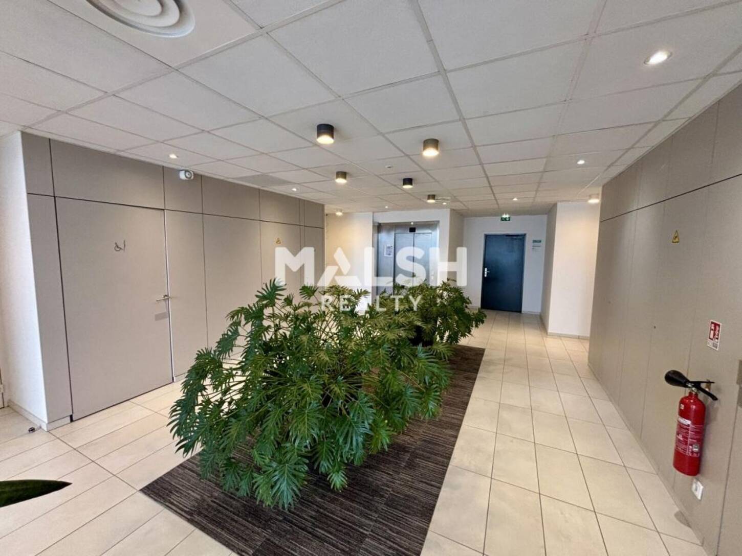 MALSH Realty & Property - Bureau - Lyon 7° / Gerland - Lyon 7 - 2