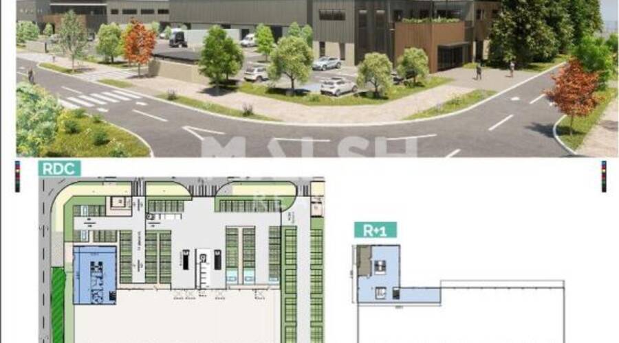 MALSH Realty & Property - Local d'activités - Lyon Nord Est (Rhône Amont) - Décines-Charpieu - 34