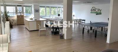 MALSH Realty & Property - Bureau - Plateau Nord / Val de Saône - Caluire-et-Cuire - 1