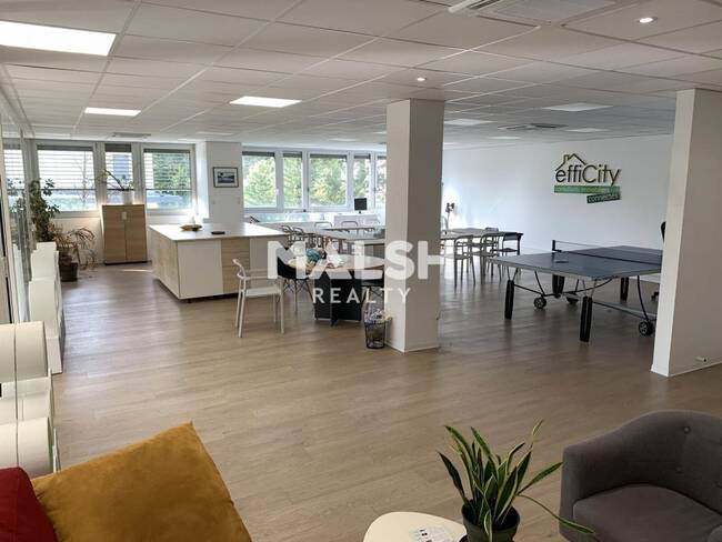 MALSH Realty & Property - Bureau - Plateau Nord / Val de Saône - Caluire-et-Cuire - 1