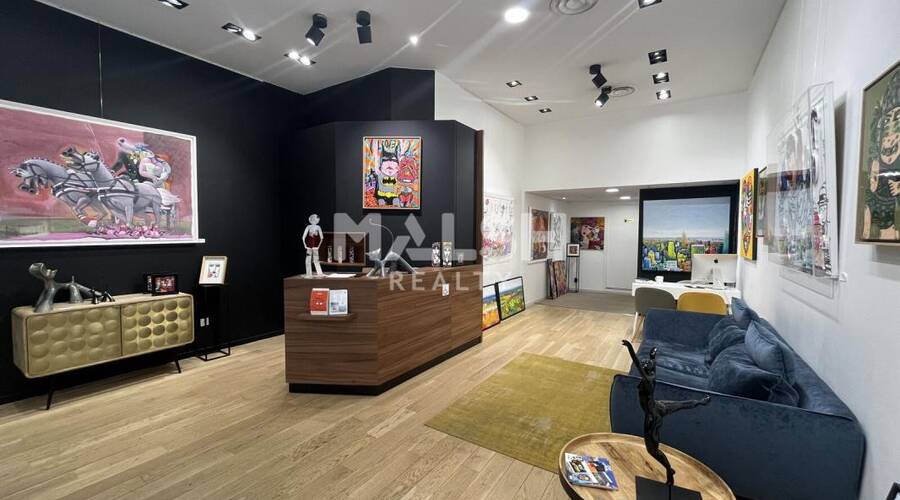 MALSH Realty & Property - Local commercial - Lyon - Presqu'île - Lyon 2 - 1