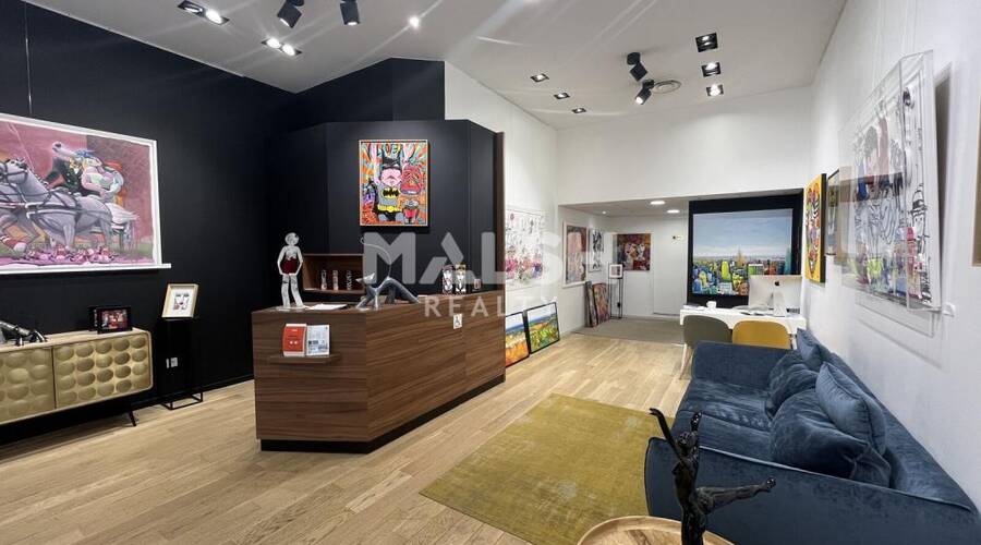 MALSH Realty & Property - Local commercial - Lyon - Presqu'île - Lyon 2 - 4