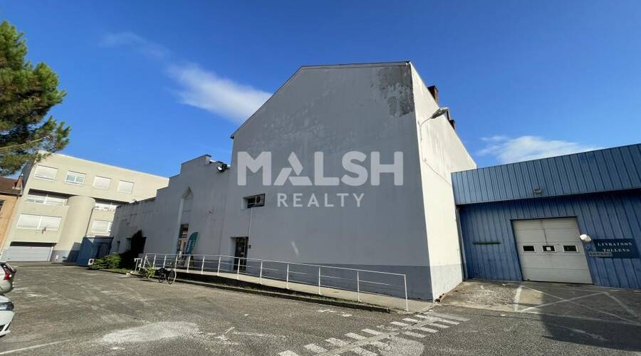 MALSH Realty & Property - Local d'activités - Carré de Soie / Grand Clément / Bel Air - Villeurbanne - 2