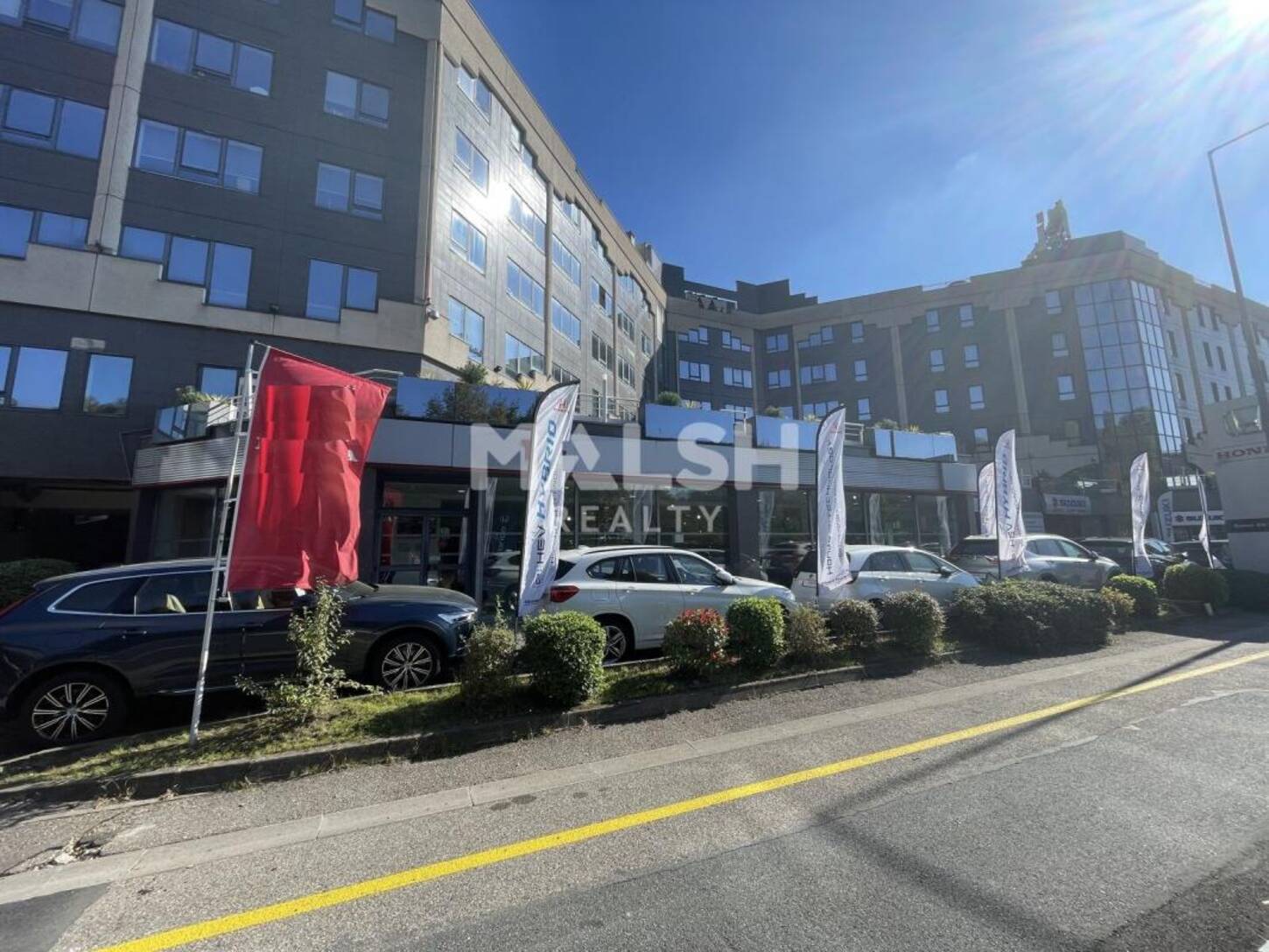 MALSH Realty & Property - Local d'activités - Lyon Nord Ouest (Techlid / Monts d'Or) - Tassin-la-Demi-Lune - 2