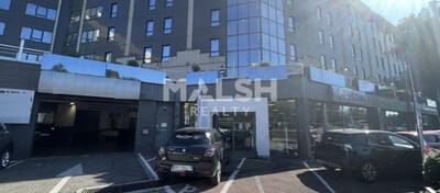 MALSH Realty & Property - Local d'activités - Lyon Nord Ouest (Techlid / Monts d'Or) - Tassin-la-Demi-Lune - 3