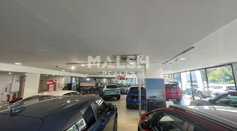 MALSH Realty & Property - Local d'activités - Lyon Nord Ouest (Techlid / Monts d'Or) - Tassin-la-Demi-Lune - 12