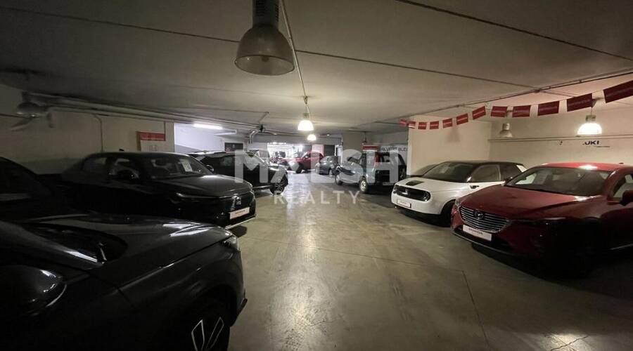 MALSH Realty & Property - Local d'activités - Lyon Nord Ouest (Techlid / Monts d'Or) - Tassin-la-Demi-Lune - 14