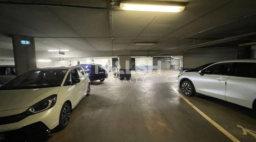 MALSH Realty & Property - Local d'activités - Lyon Nord Ouest (Techlid / Monts d'Or) - Tassin-la-Demi-Lune - 15