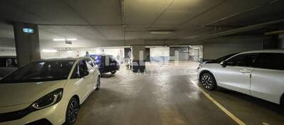 MALSH Realty & Property - Local d'activités - Lyon Nord Ouest (Techlid / Monts d'Or) - Tassin-la-Demi-Lune - 15