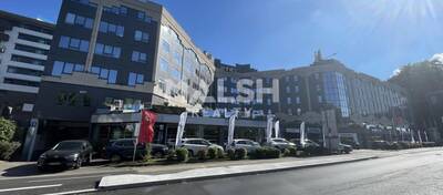 MALSH Realty & Property - Local d'activités - Lyon Nord Ouest (Techlid / Monts d'Or) - Tassin-la-Demi-Lune - 1