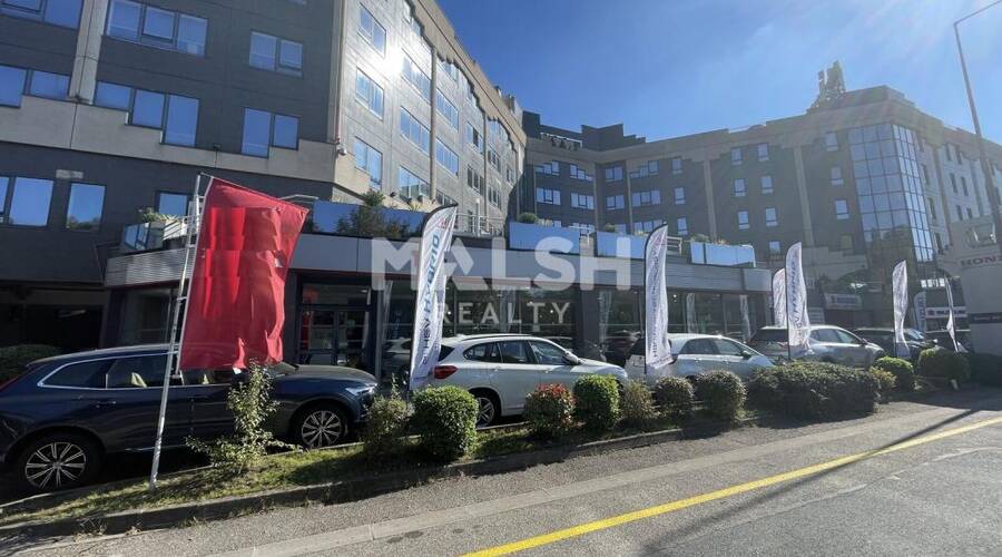 MALSH Realty & Property - Local d'activités - Lyon Nord Ouest (Techlid / Monts d'Or) - Tassin-la-Demi-Lune - 2