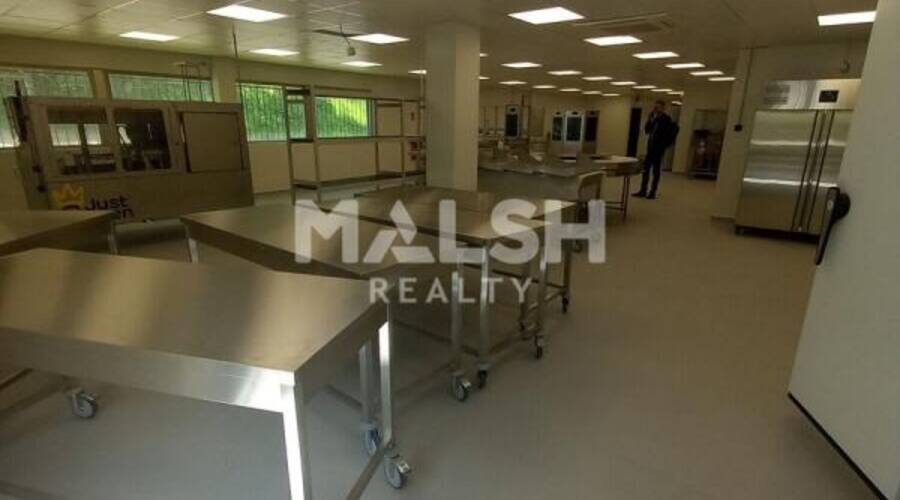 MALSH Realty & Property - Local d'activités - Saint Etienne - Saint-Étienne - 6