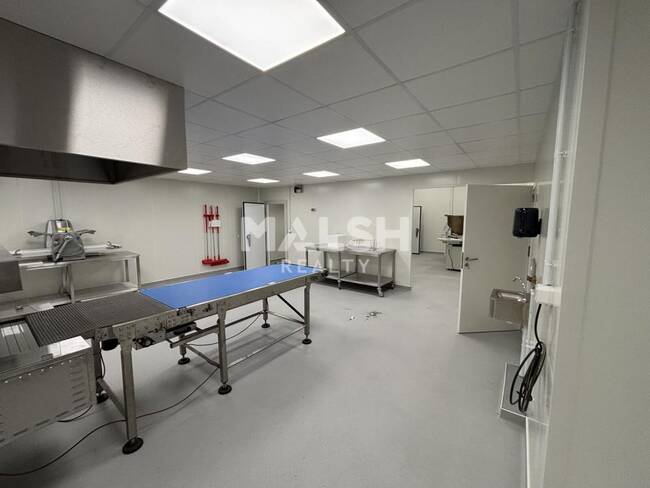 MALSH Realty & Property - Local d'activités - Saint Etienne - Saint-Étienne - 1