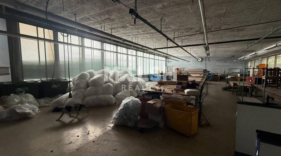 MALSH Realty & Property - Local d'activités - Saône et Loire (71) - Chauffailles - 11