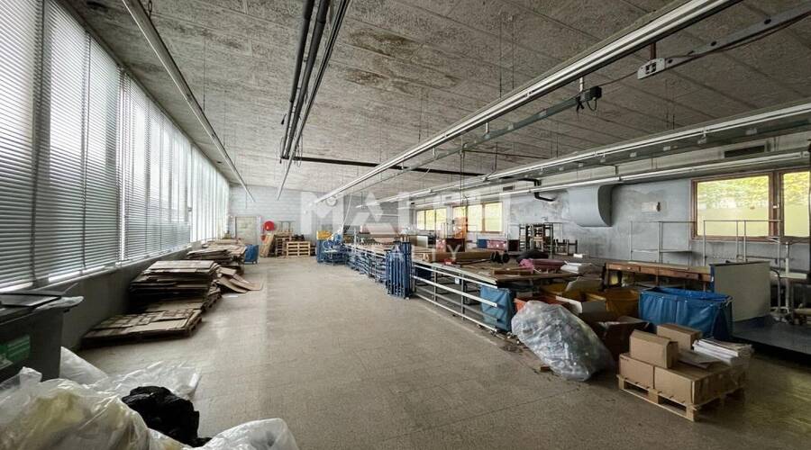 MALSH Realty & Property - Local d'activités - Saône et Loire (71) - Chauffailles - 7