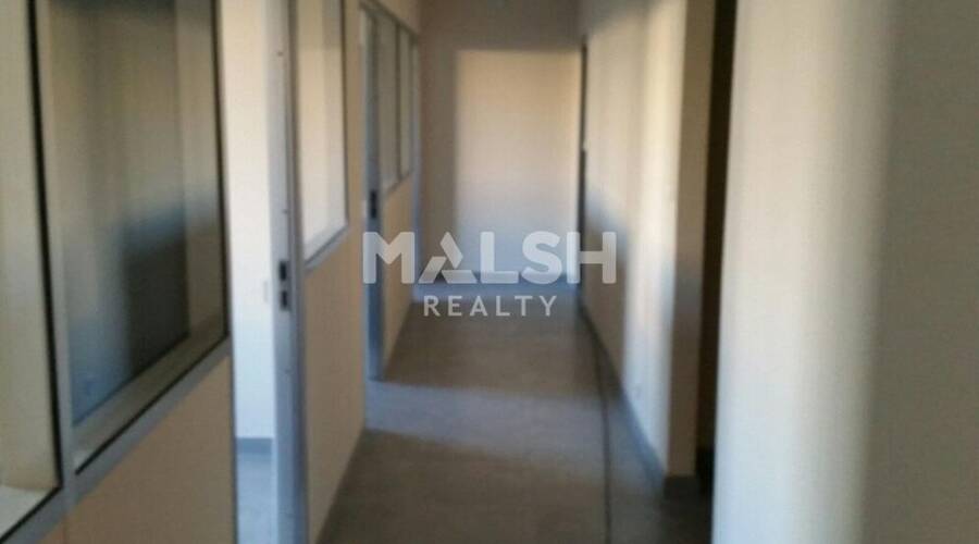 MALSH Realty & Property - Local d'activités - Carré de Soie / Grand Clément / Bel Air - Vaulx-en-Velin - 9