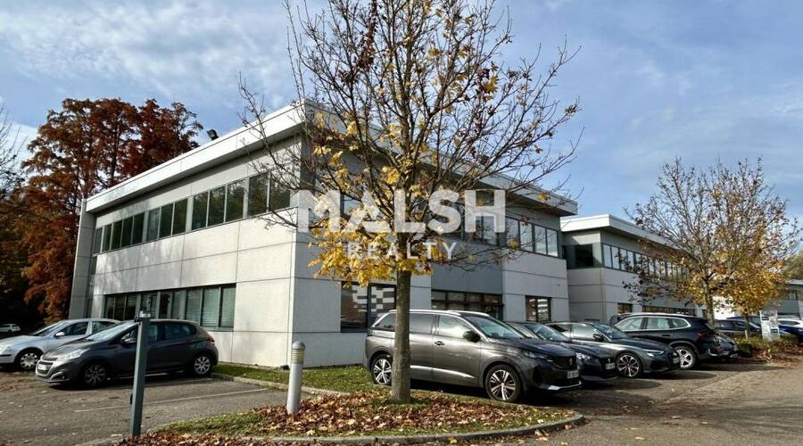 MALSH Realty & Property - Bureau - Lyon Nord Ouest (Techlid / Monts d'Or) - Limonest - 4