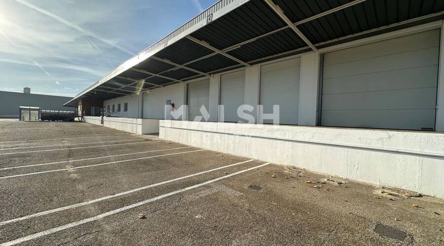 MALSH Realty & Property - Local d'activités - Lyon Sud Est - Corbas - 2