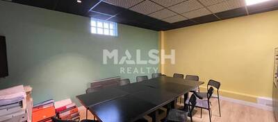 MALSH Realty & Property - Local d'activités - Lyon EST (St Priest /Mi Plaine/ A43 / Eurexpo) - Chassieu - 4