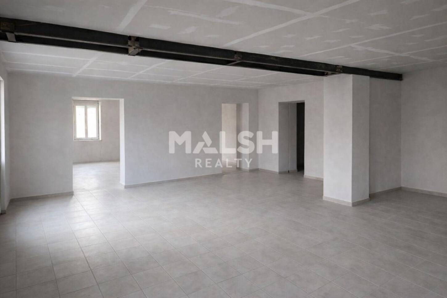 MALSH Realty & Property - Local commercial - Plaine de l'Ain - Chazey-sur-Ain - 2