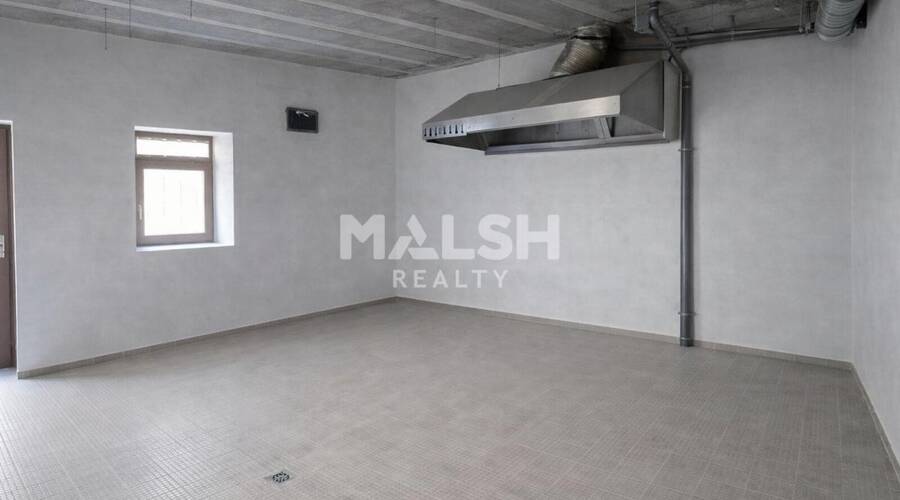 MALSH Realty & Property - Local commercial - Plaine de l'Ain - Chazey-sur-Ain - 3