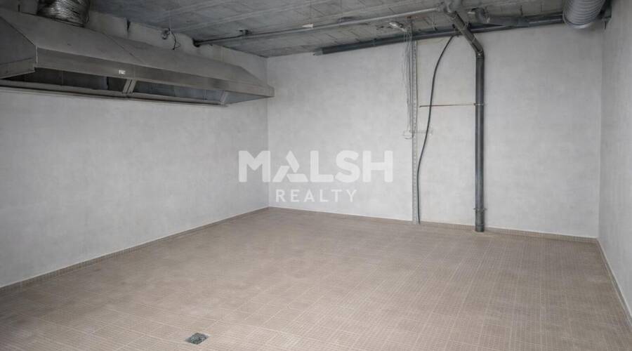 MALSH Realty & Property - Local commercial - Plaine de l'Ain - Chazey-sur-Ain - 4