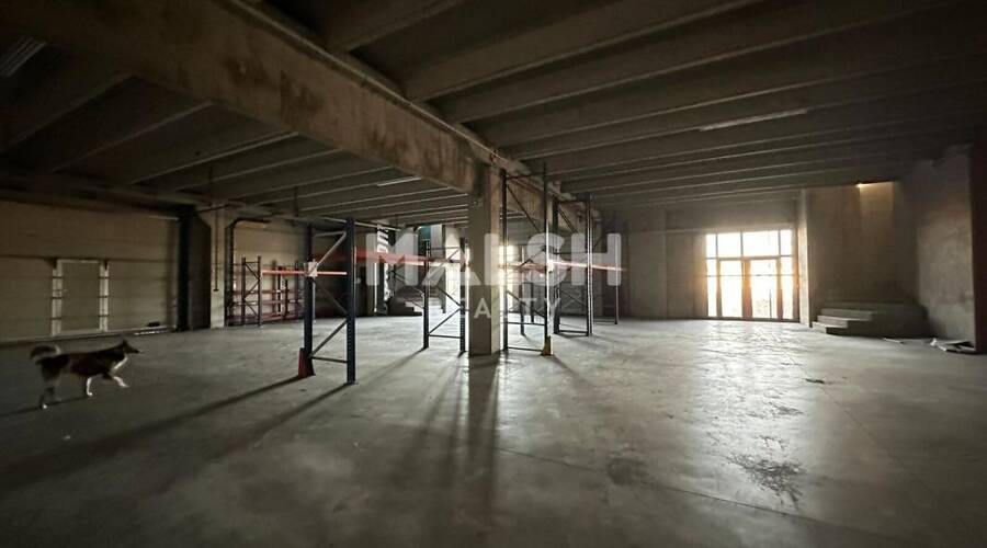 MALSH Realty & Property - Local d'activités - Extérieurs NORD (Villefranche / Belleville) - Anse - 4
