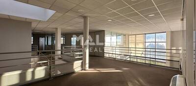 MALSH Realty & Property - Local d'activités - Côtière (Ain/A42/Beynost/Dagneux/Montluel) - Miribel - 10