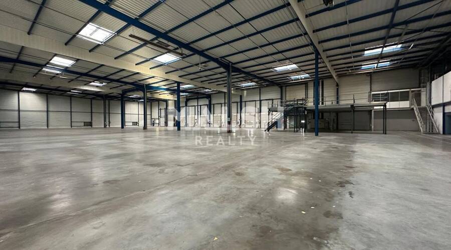 MALSH Realty & Property - Local d'activités - Côtière (Ain/A42/Beynost/Dagneux/Montluel) - Miribel - 6