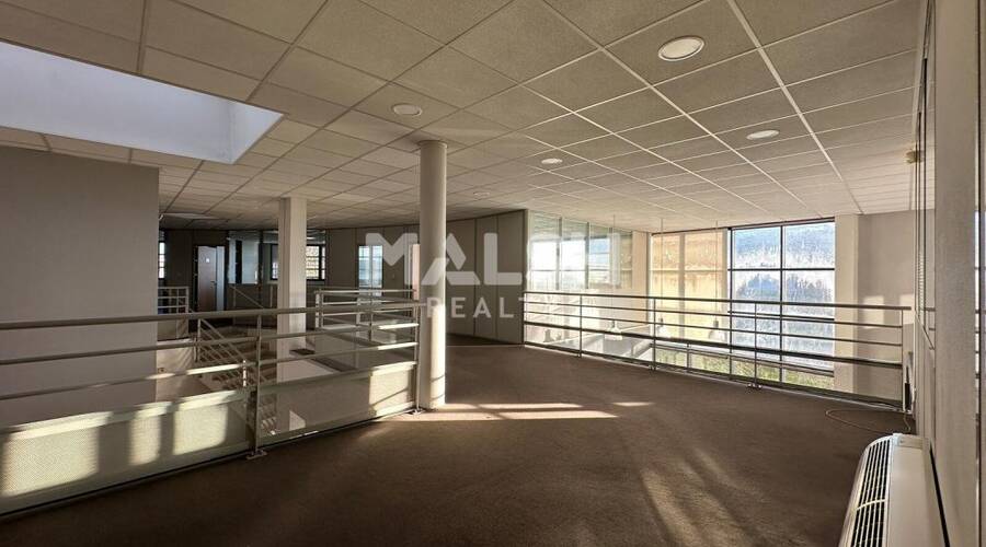 MALSH Realty & Property - Local d'activités - Côtière (Ain/A42/Beynost/Dagneux/Montluel) - Miribel - 10