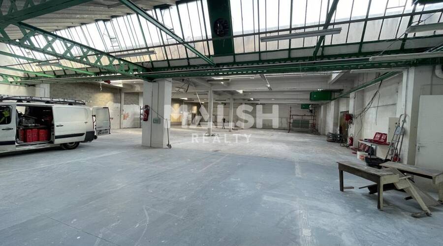 MALSH Realty & Property - Local d'activités - Carré de Soie / Grand Clément / Bel Air - Villeurbanne - 1