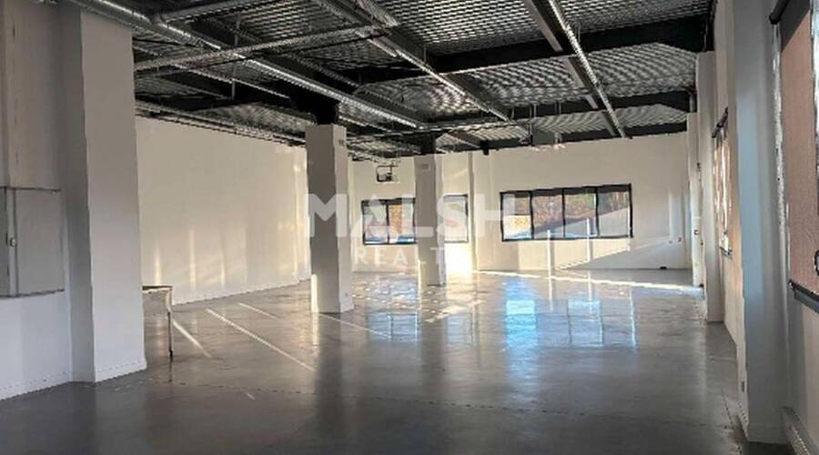 MALSH Realty & Property - Local d'activités - Lyon 7° / Gerland - Lyon 7 - 9