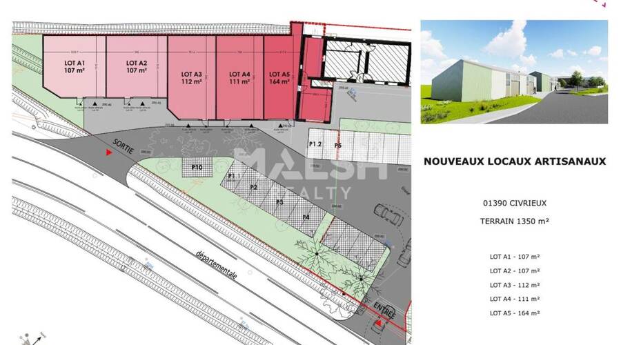MALSH Realty & Property - Local d'activités - Extérieurs NORD (Villefranche / Belleville) - Civrieux - 12