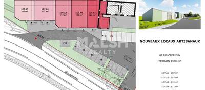 MALSH Realty & Property - Local d'activités - Extérieurs NORD (Villefranche / Belleville) - Civrieux - 12